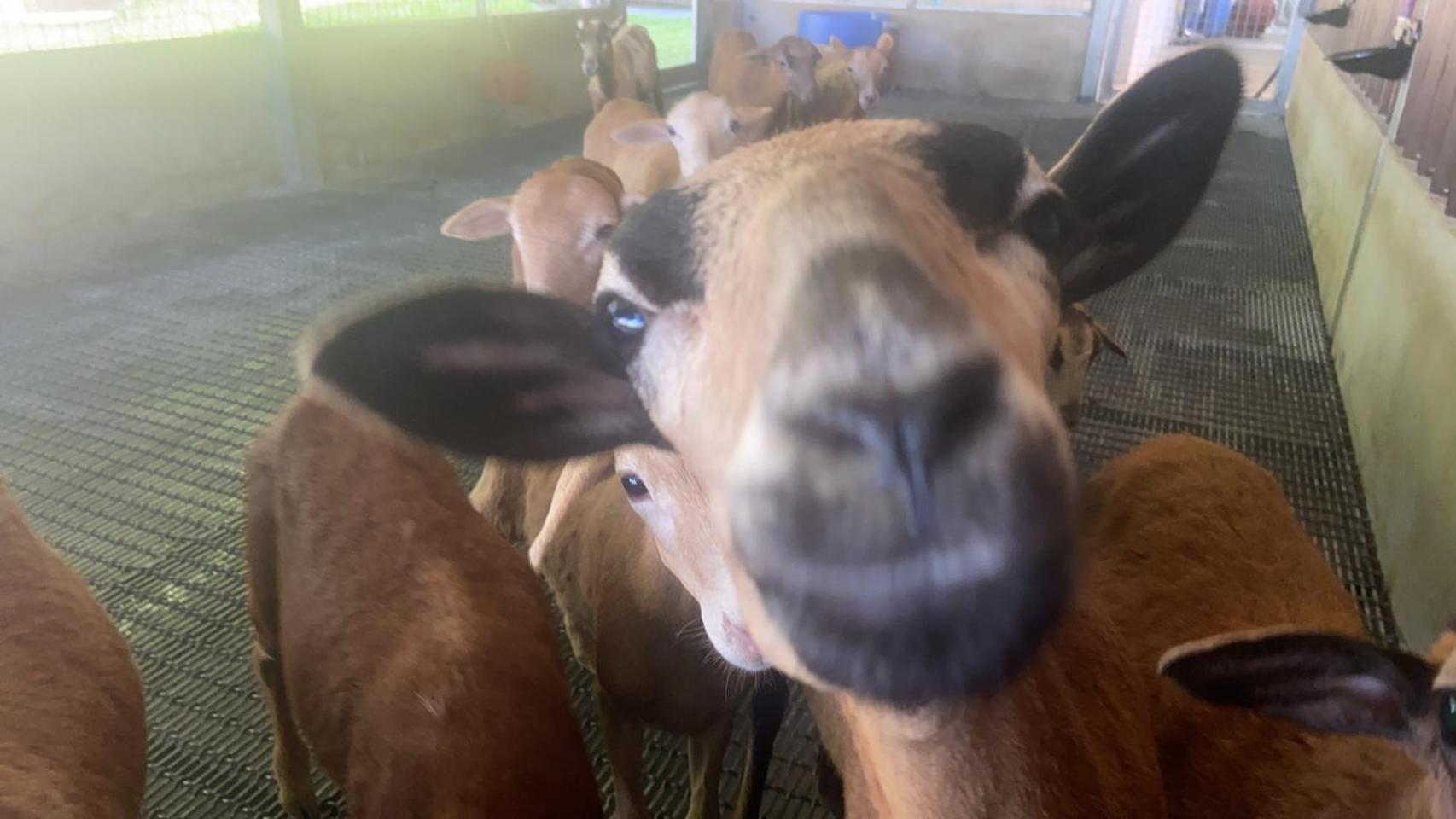 River Forest Leisure Farm Dongshan  Esterno foto